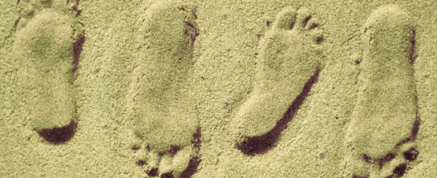 Model de viata in 4 pasi – Tony Robbins