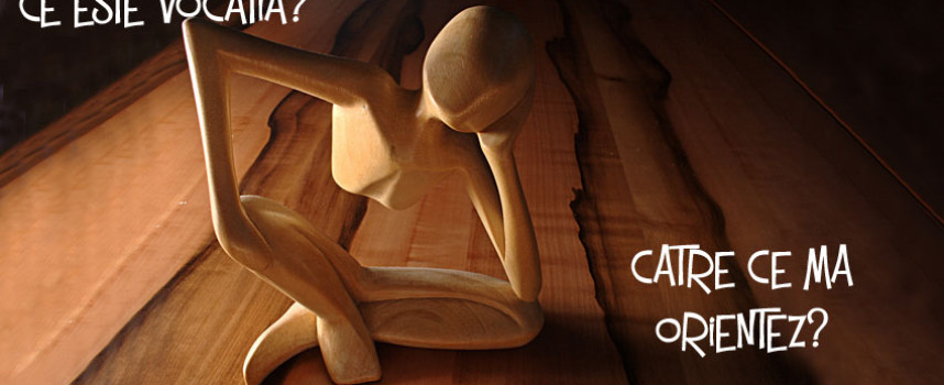 Descoperirea Vocatiei