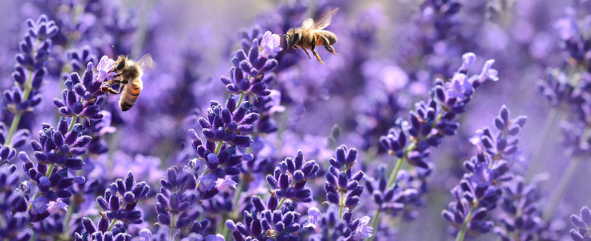 Oamenii ar trebui sa evite urmarirea confortului cu orice pret