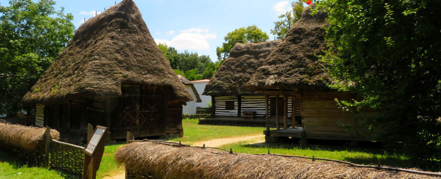 7 lectii de viata importante de care sa ne amintim in fiecare zi